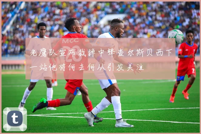 老鹰队宣布裁掉中锋查尔斯贝西下一站他将何去何从引发关注